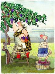 La vendemmia